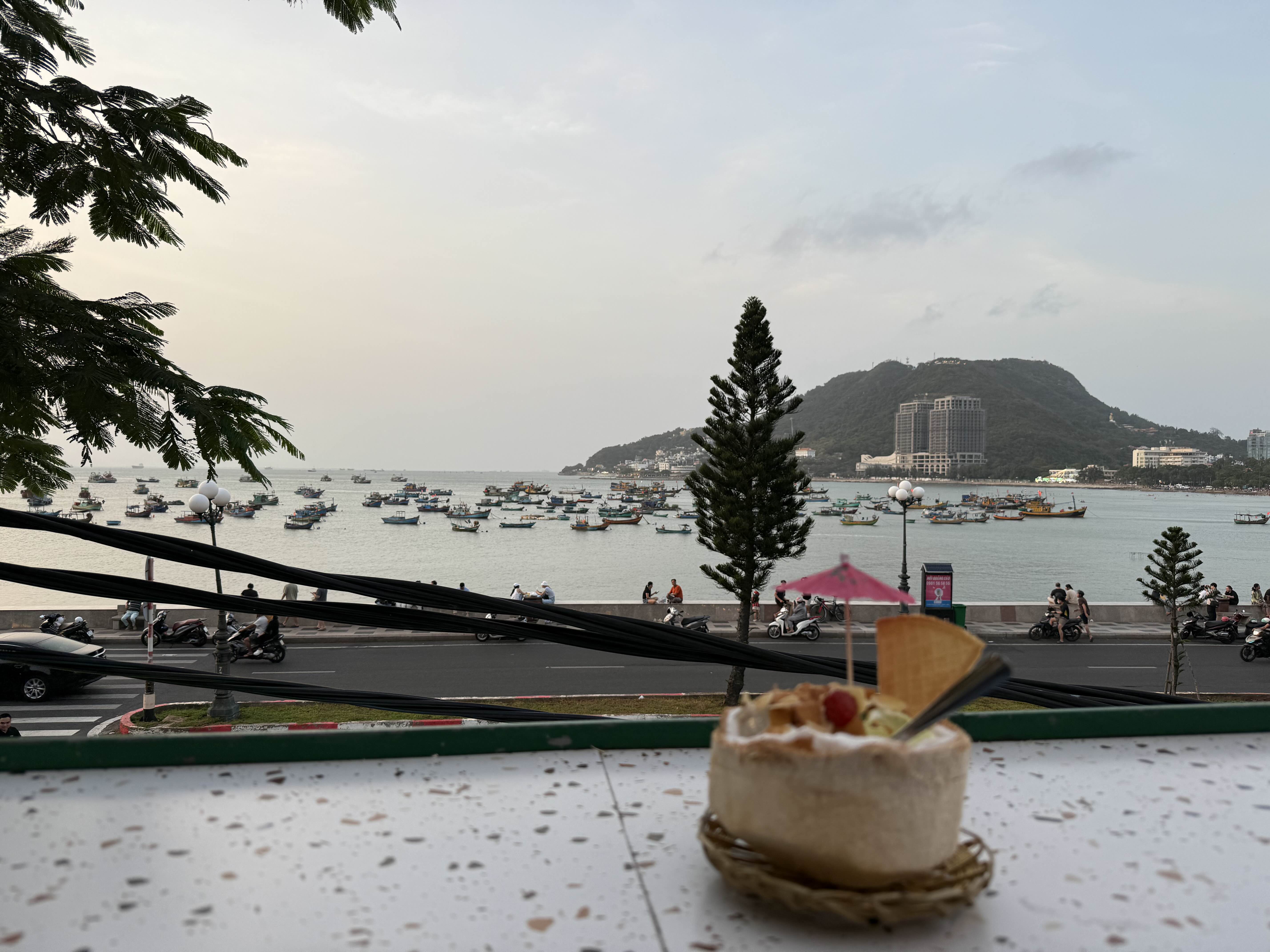 CoconutIC