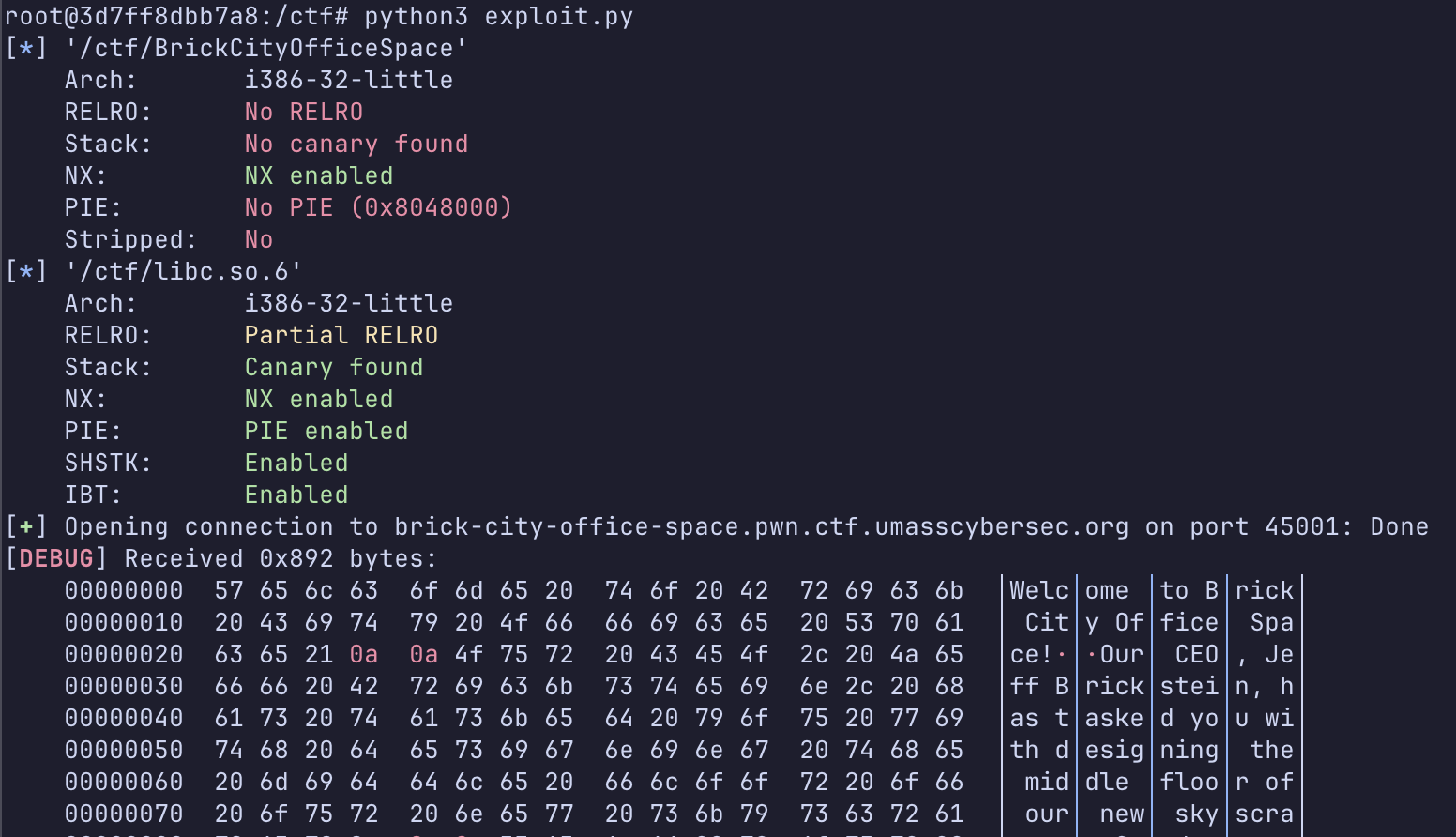 Terminal screenshot of exploit script run